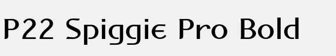 P22 Spiggie Pro Bold